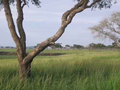 lake katavi